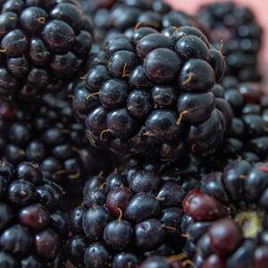 PERFUME EQUIVALENCIA 622