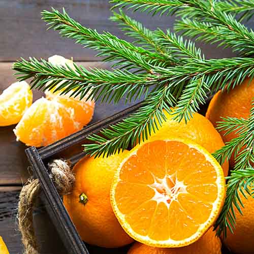 PERFUME EQUIVALENCIA 610