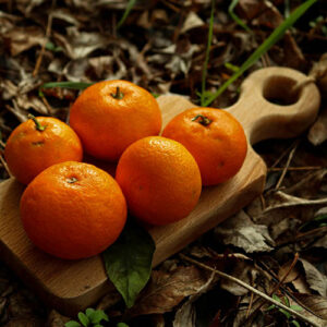 PERFUME EQUIVALENCIA