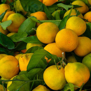 PERFUME EQUIVALENCIA 615