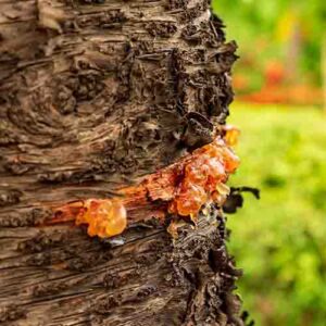 PERFUME EQUIVALENCIA 628