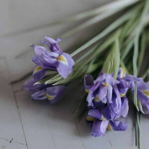 PERFUME EQUIVALENCIA 630