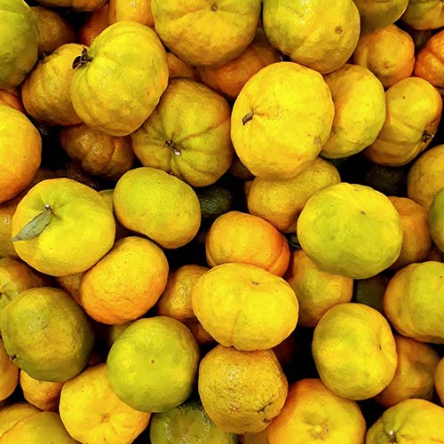 PERFUME EQUIVALENCIA 631