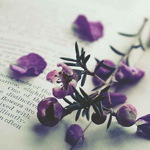 PERFUME EQUIVALENCIA 632