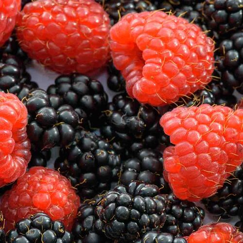 PERFUME EQUIVALENCIA 645