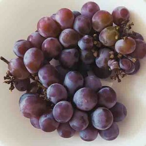 PERFUME EQUIVALENCIA 664