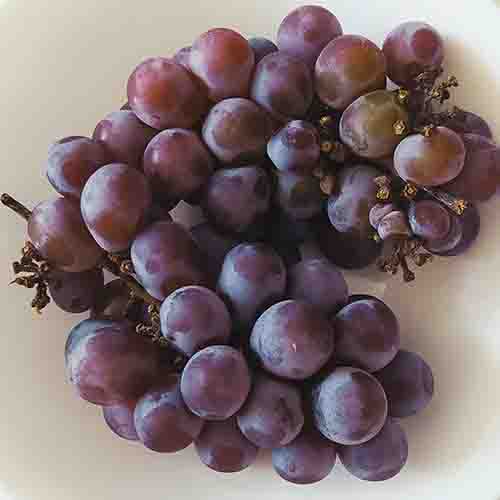 PERFUME EQUIVALENCIA 664