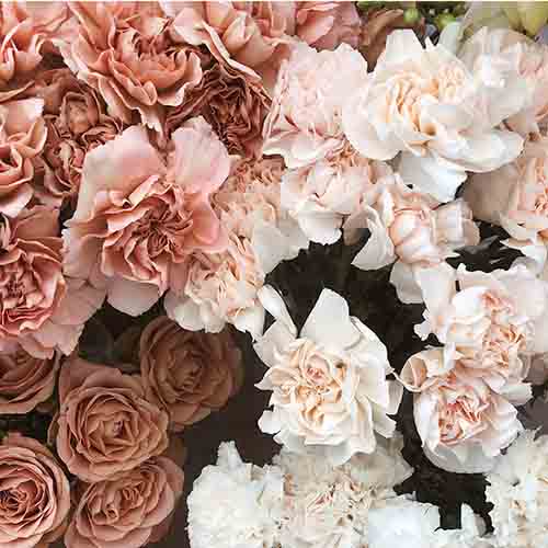 PERFUME EQUIVALENCIA 663