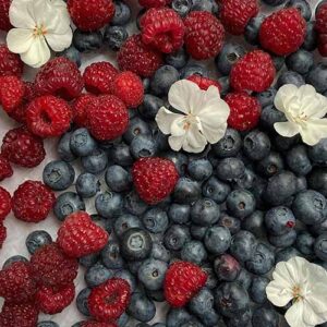 PERFUME EQUIVALENCIA 666