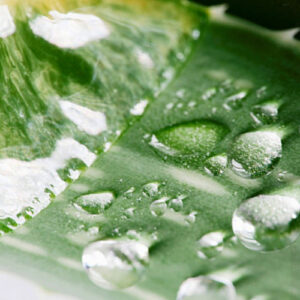 PERFUME EQUIVALENCIA 670