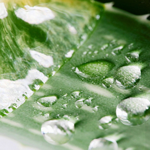 PERFUME EQUIVALENCIA 670