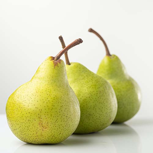 PERFUME EQUIVALENCIA 676