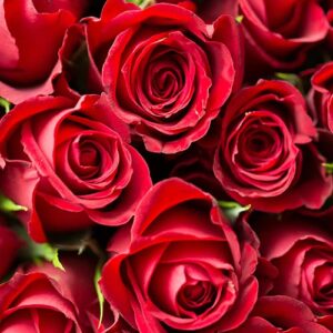 PERFUME EQUIVALENCIA 681