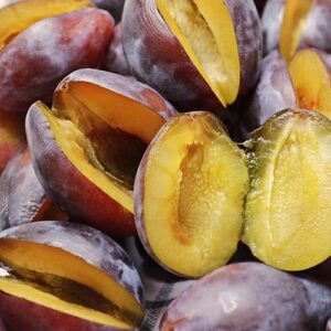 PERFUME EQUIVALENCIA 682