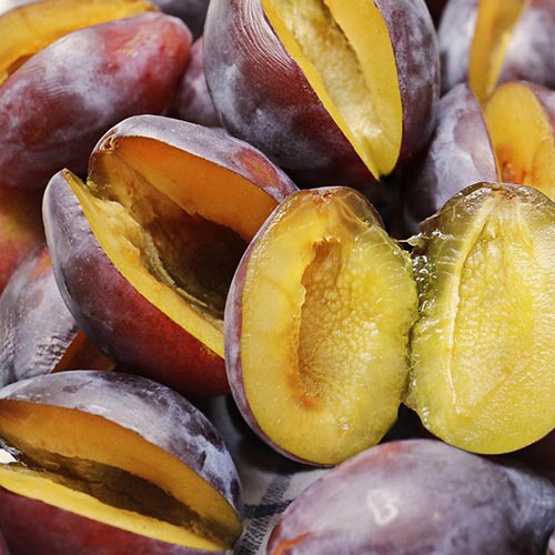 PERFUME EQUIVALENCIA 682