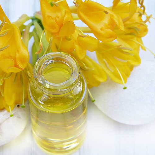 PERFUME EQUIVALENCIA 742