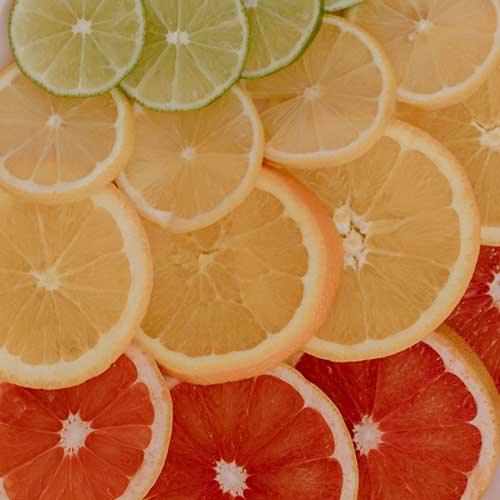 PERFUME EQUIVALENCIA 743