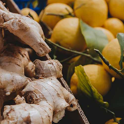 PERFUME EQUIVALENCIA 754