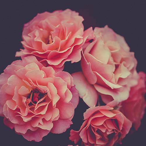 PERFUME EQUIVALENCIA 765