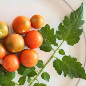 PERFUME EQUIVALENCIA 766