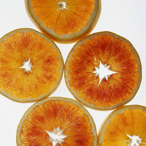 PERFUME EQUIVALENCIA 079