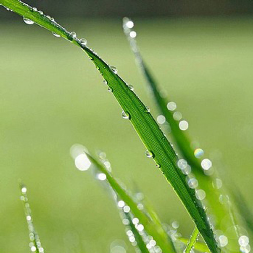 PERFUME EQUIVALENCIA 082