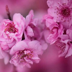 PERFUME EQUIVALENCIA 094