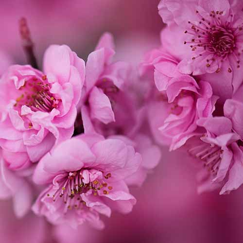 PERFUME EQUIVALENCIA 094