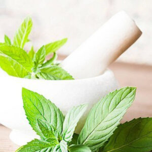 PERFUME EQUIVALENCIA 096