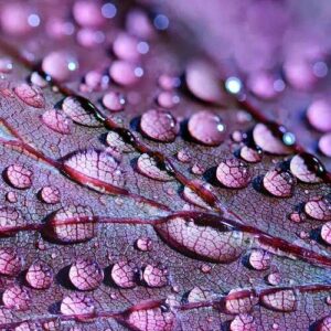 PERFUME EQUIVALENCIA 098