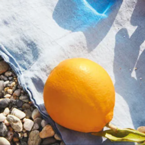 MIKADO ARANCIA DI CAPRI