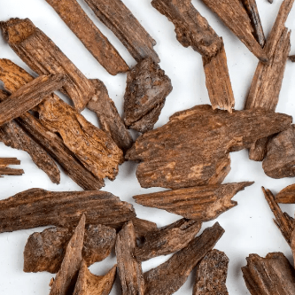 PERFUME EQUIVALENCIA 509