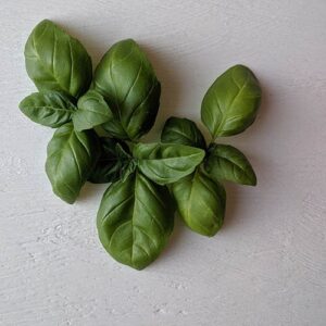 PERFUME EQUIVALENCIA 512