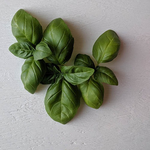 PERFUME EQUIVALENCIA 512