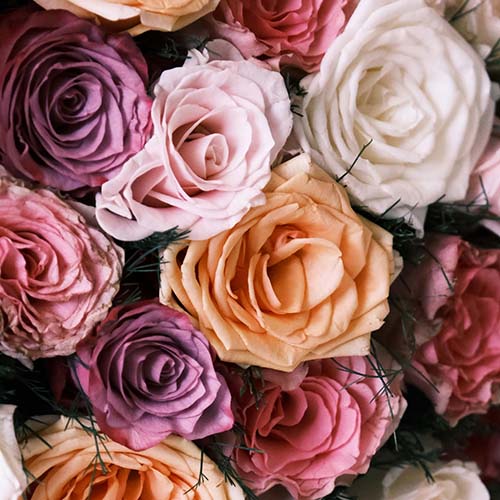 PERFUME EQUIVALENCIA 611