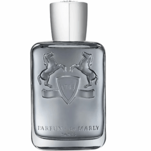 PERFUME EQUIVALENCIA 754