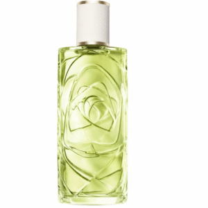 PERFUME EQUIVALENCIA 762