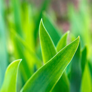 PERFUME EQUIVALENCIA 292