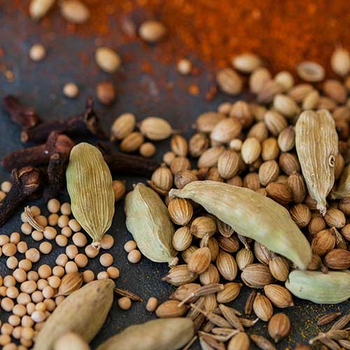 PERFUME EQUIVALENCIA 566