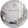SPRAY  GRIS BRUME