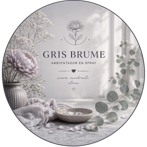SPRAY  GRIS BRUME