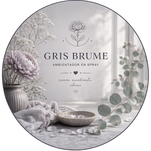 SPRAY  GRIS BRUME